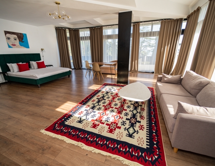 Студия 2-местный 1-комнатный Студио - Отель «Гагра»